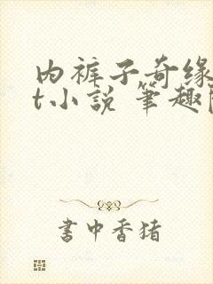 内裤子奇缘txt小说 笔趣阁