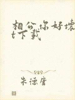 相公你好坏txt下载