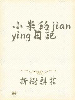 小米的jianying日记