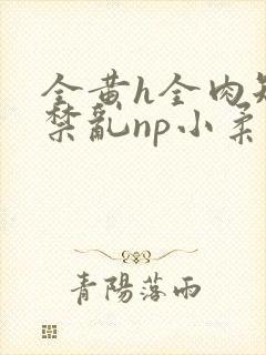 全黄h全肉短篇禁乱np小柔