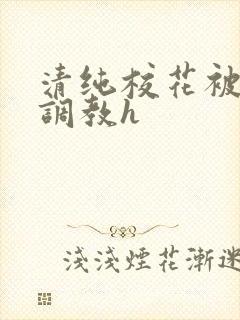 清纯校花被地狱调教h