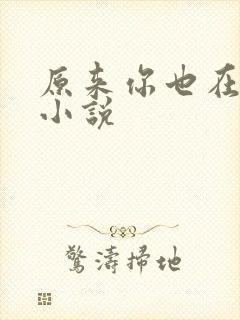 原来你也在这里小说