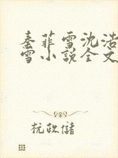 秦菲雪沈浩秦菲雪小说全文免费阅读求书