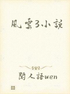 风云3小说