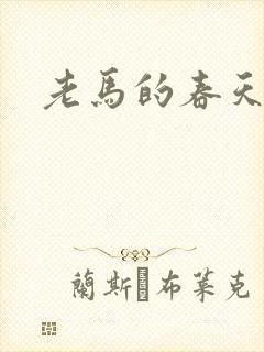 老马的春天敏静