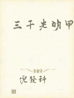 三千光明甲