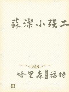 苏洁小强工地情