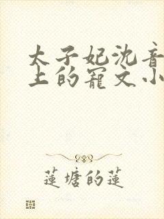 太子妃沈音和皇上的宠文小说