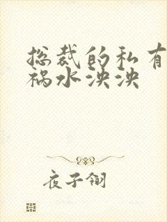 总裁的私有宝贝祸水泱泱