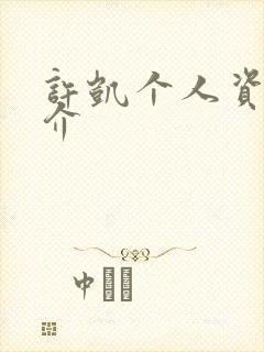 许凯个人资料简介