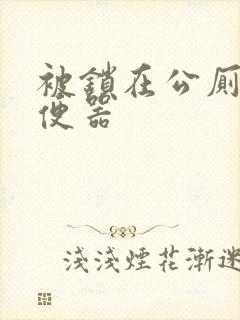 被锁在公厕当坐便器