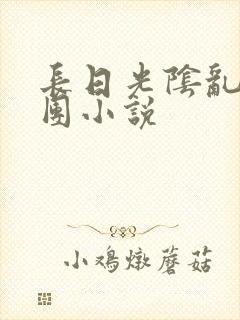 长日光阴乱作一团小说