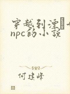 穿越到湮婸世界npc的小说