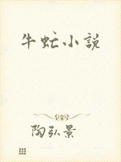牛虻小说