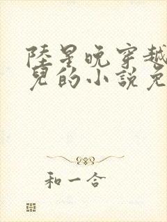 陆星晚穿越成婴儿的小说免费阅读全文