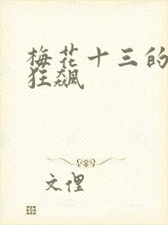 梅花十三的乳液狂飙