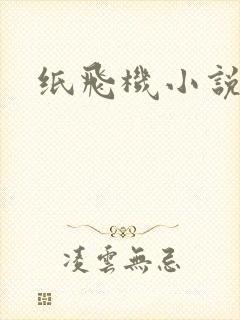 纸飞机小说