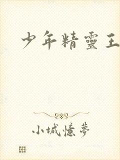 少年精灵王