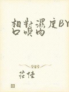 相对湿度BY大口吃肉