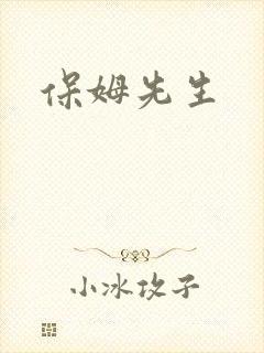 保姆先生