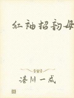 红袖招韵母攻略