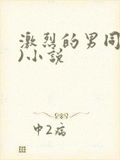 激烈的男同(h)小说