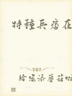 特种兵痞在都市