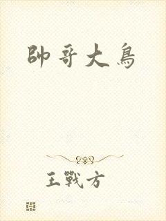 帅哥大鸟