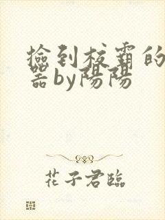 捡到校霸的遥控器by阳阳