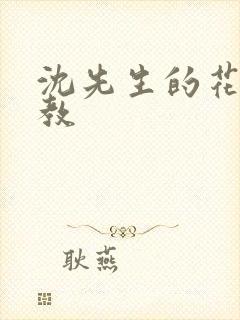 沈先生的花式管教