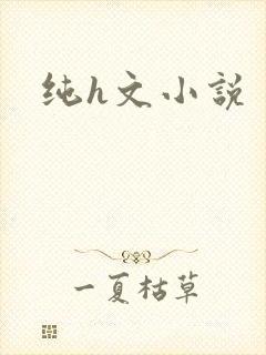 纯h文小说