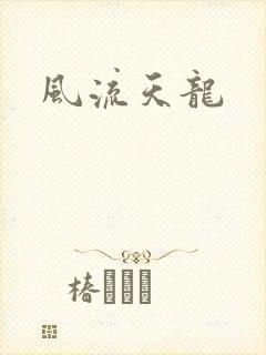 风流天龙