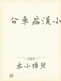 公车痴汉小说