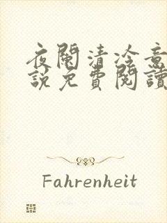 夜阑清冷意欢小说免费阅读