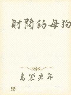 财阀的母狗们