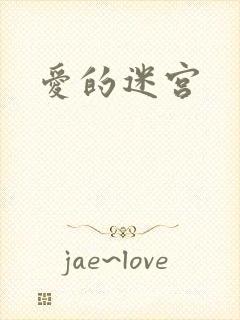 爱的迷宫