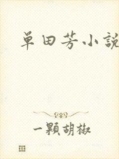 单田芳小说