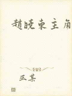 赵晓东主角小说