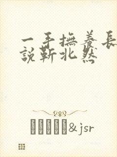 一手抚养长大小说靳北然