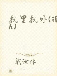 戏里戏外(现场h)