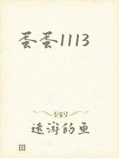 蛋蛋1113