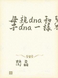 母亲dna和儿子dna一样不