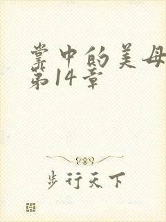 掌中的美母版主第14章