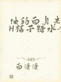 他的白月光HVH桔子糖水全文