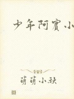 少年阿宾小说