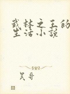 武林之王的退隐生活小说