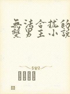 无法合拢的总裁双男主小说