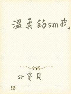 温柔的sm我