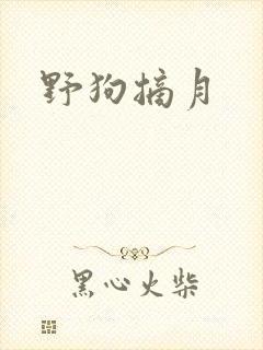 野狗摘月