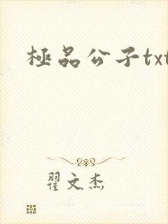 极品公子txt